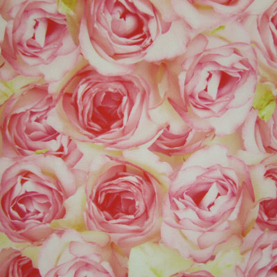 ROSE PRINT
